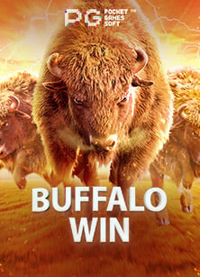 เครดิต ฟรี slot xo เล่นสนุกเกินใครแน่นอน!